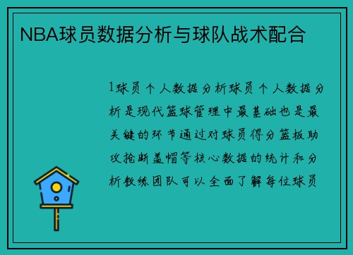 NBA球员数据分析与球队战术配合